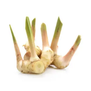 Fresh Galangal ( Thai Ginger) 