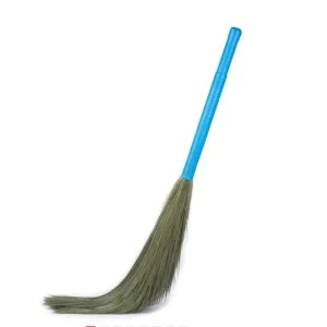 Parrot Broom (फूल झाड़ू) 