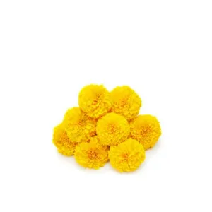 Marigold Flower-Yellow