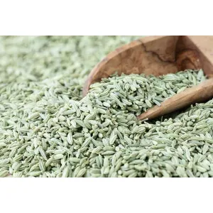 Fennel/Saunf- Green, 100 g 