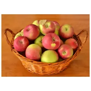 Apple indian