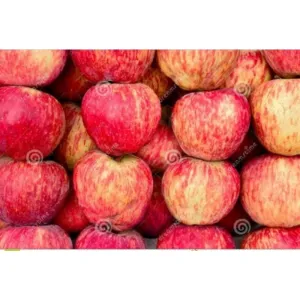 Appale royal
