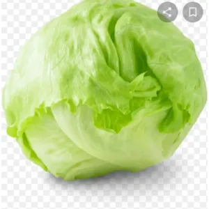 Iceberg lettuce