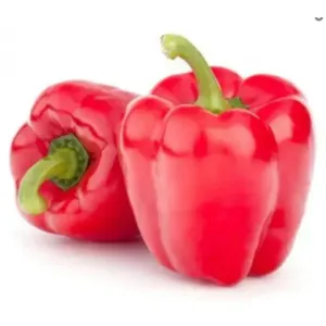 Capcicum red