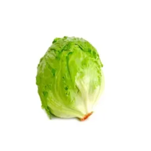 Iceberg lettuce
