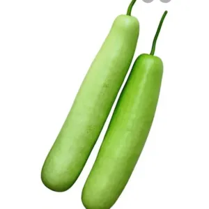 Bottle gourd