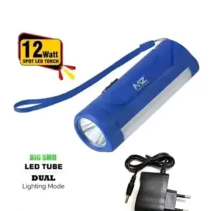 #493 006 Torch Light 