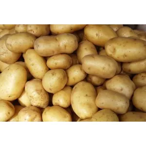 আলু