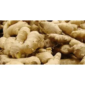 আদা