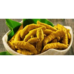 গোটা হলুদ 