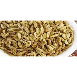 মৌরি 