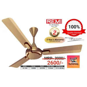Remi Selling Fan Super Quality
