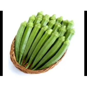 ঢেঁরশ Danros