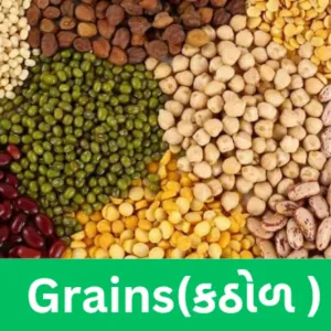 GRAINS, DALS AND PULSES
