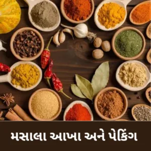 MASALA AND SPICES (મસાલા અને ઓસદિયા)