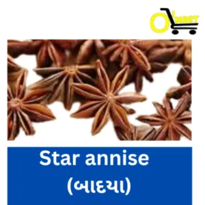 Badya (Star annies- બાદયા )
