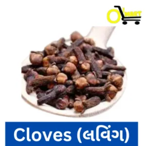Loving (Clove-લવિંગ )