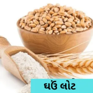 Wheat Flour(ઘઉં લોટ) 1 kg 40/-