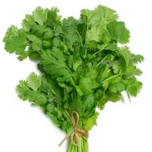 Malli ela (coriander leaves)100gm