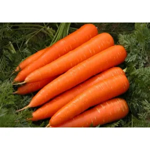 Carrot 500gm
