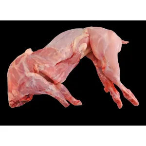 Rabbit (full) 