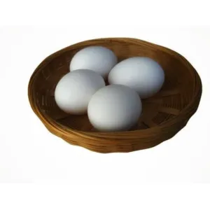 Chicken egg /Kozhi mutta (per one) 