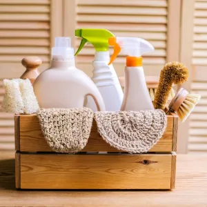Cleaning Supplies 