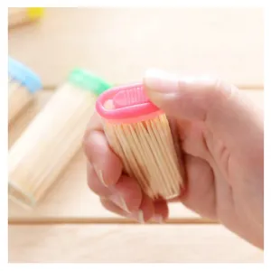 Bamboo Toothpick 1Pc AB003
