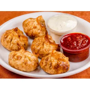 Veg Paneer Mixed Fry Momo 