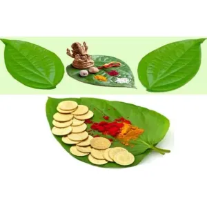 Paan Ke Patte