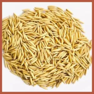 ধান (পূজার জন্য) Dhan