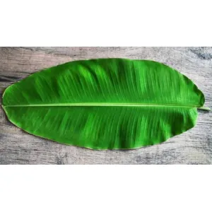কলা পাতা Kola pata 