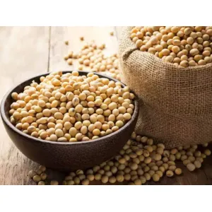 Loose Soya bean 