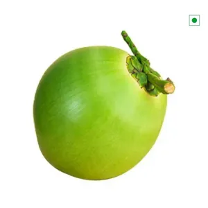 Tender Coconut 1 pc (Approx 800 g - 1500 g) 