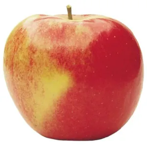 Apple Fuji 1 kg