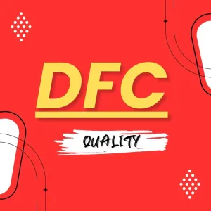 DELICIOUS FRIED CHICKEN ( DFC)