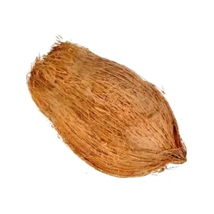 नारियल 