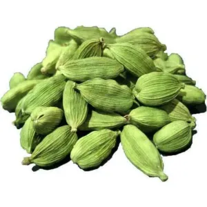 Elayechi 