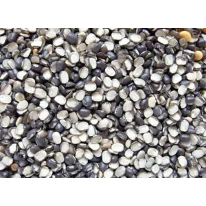 Urad Chilka dal 500g