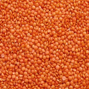 Masoor malka Premium Dal 500g