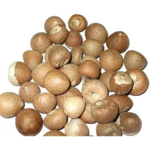 BETTAL NUTS