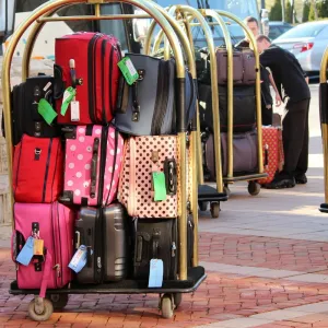 Bag and Laguage