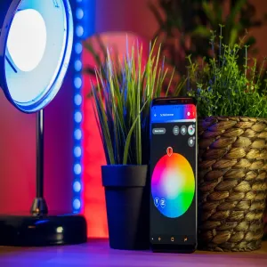 Smart Home Gadgets 