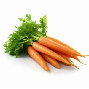 Carrot (கேரட்)