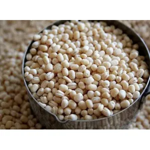 Urad dal
