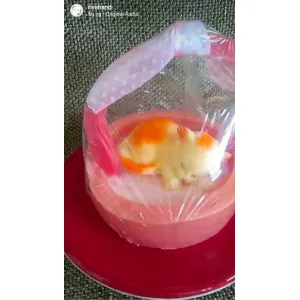 Cat soap 