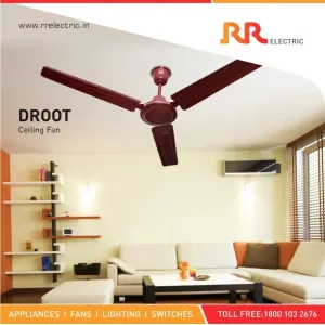 RR Fan