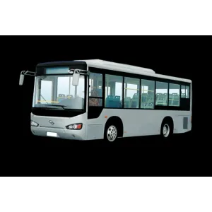 Bus pass