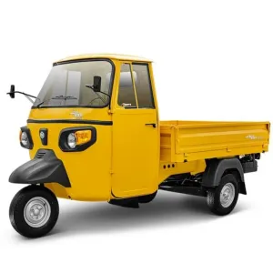 Transport vehicle 