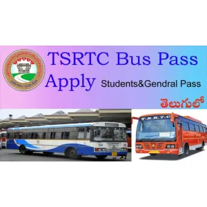 New bus pass